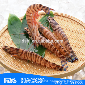HL002 fresh frozen shrimp meat for export